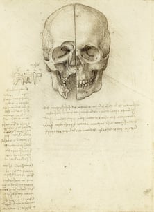 Da Vinci sketch of skull